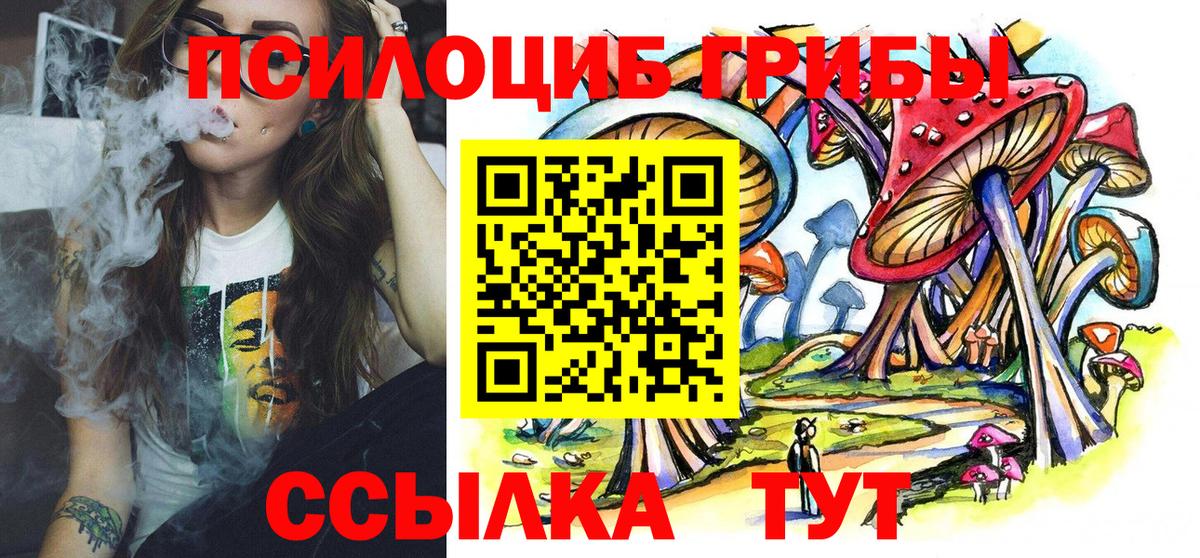 Галлюциногенные грибы прущие грибы  Вход с VPN  Галлюциногенные грибы мицелий  Санкт-Петербург 