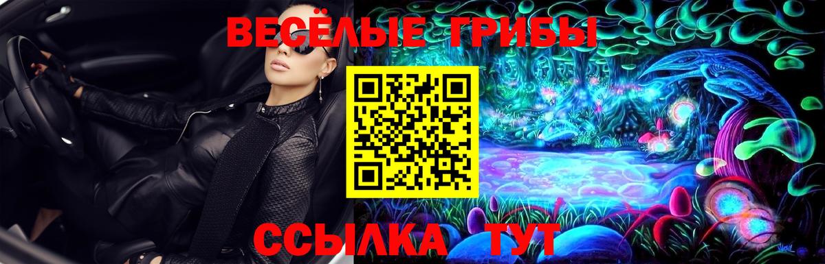Псилоцибиновые грибы прущие грибы Санкт-Петербург